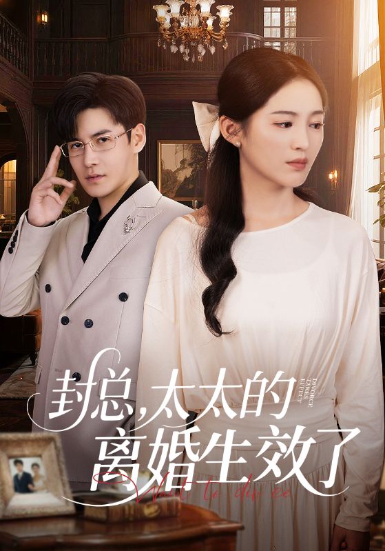 封总,太太的离婚生效了