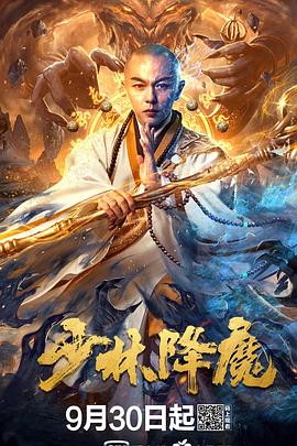 少林降魔封面图