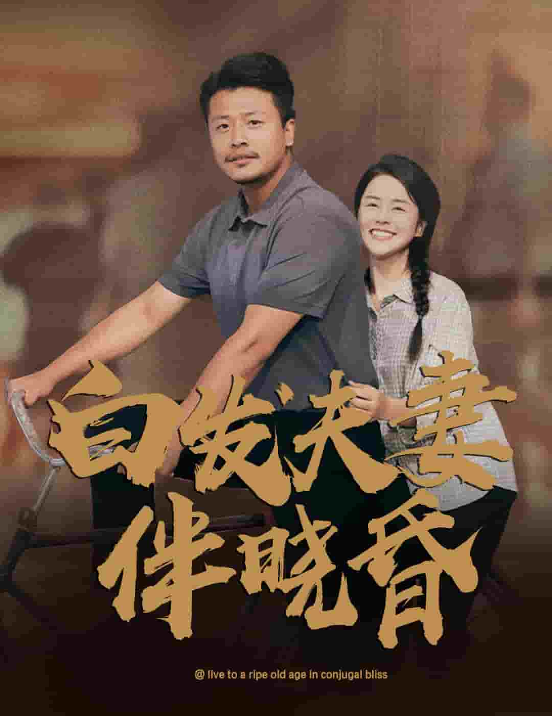 白发夫妻傍晓昏,高清在线播放