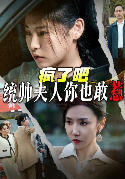 疯了吧统帅夫人你也敢惹,高清在线播放