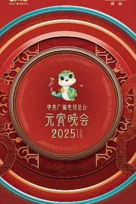 中央广播电视总台2025年元宵晚会封面图