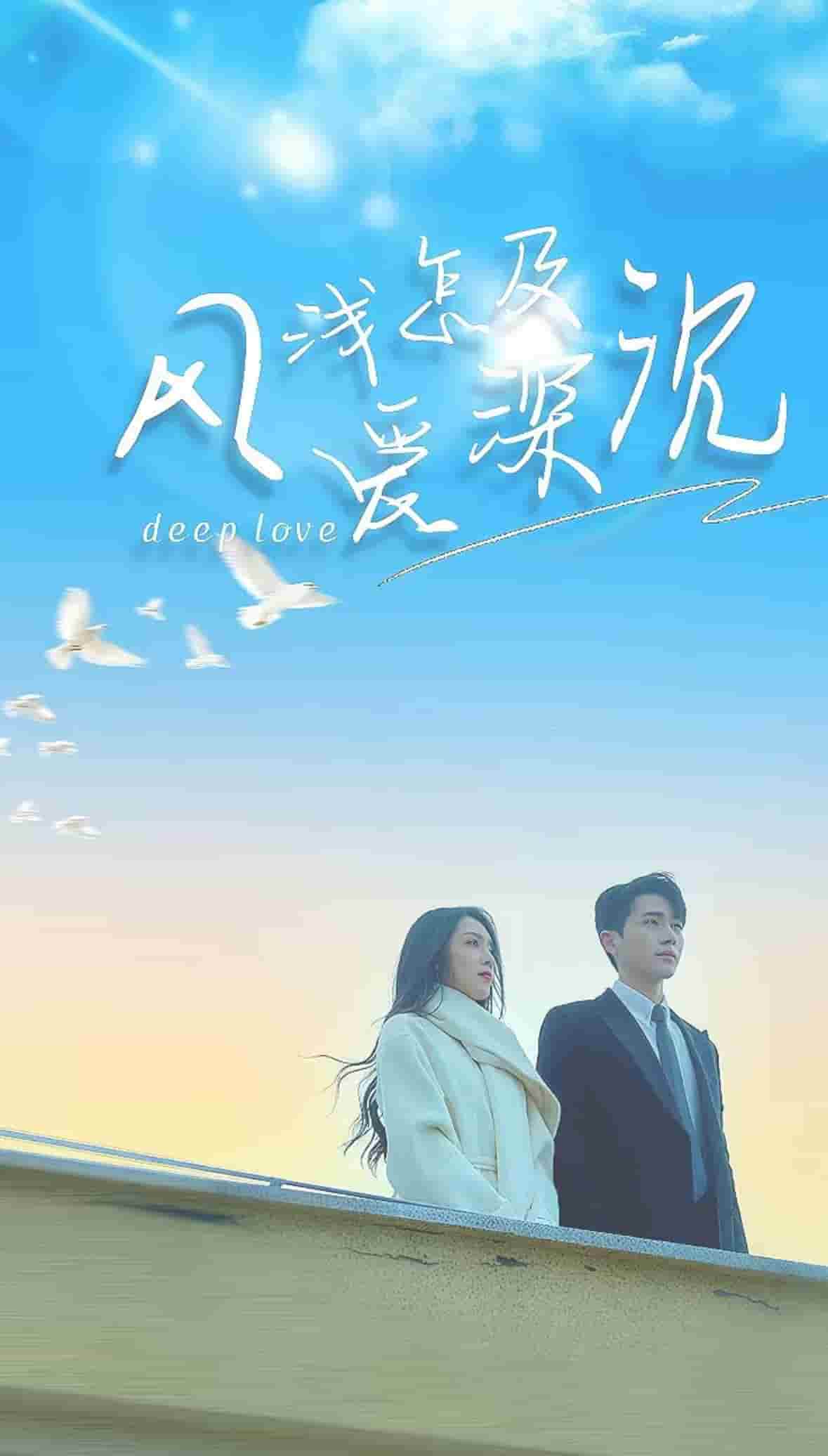 风浅怎及爱深沉的封面海报