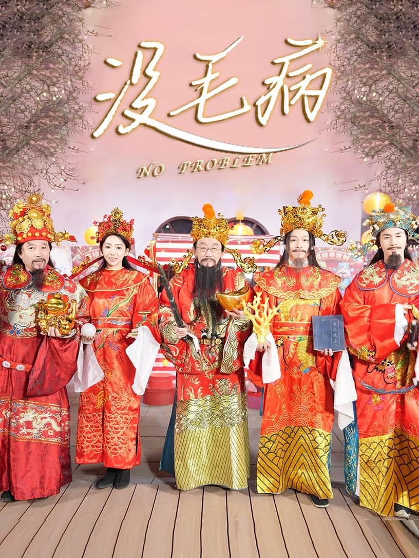 没毛病的封面海报