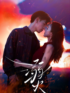 溺火的封面海报
