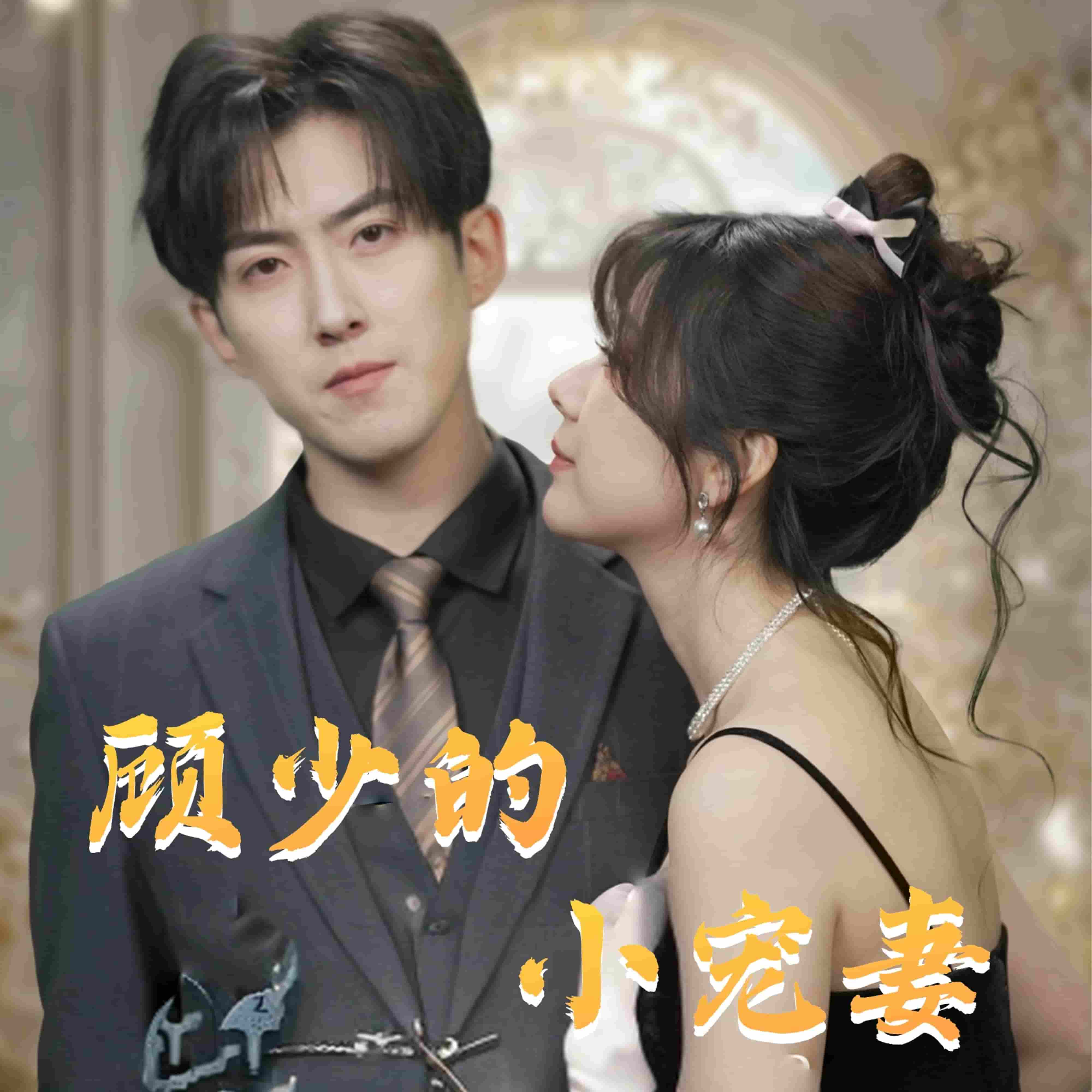顾少的小宠妻的封面海报