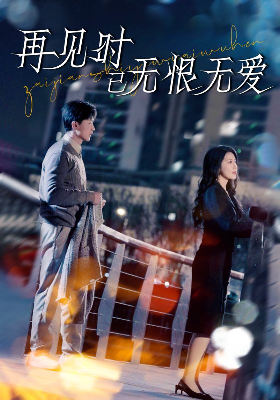 再见时已无恨无爱的封面海报