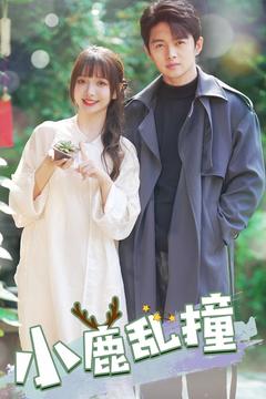 小鹿乱撞,高清在线播放