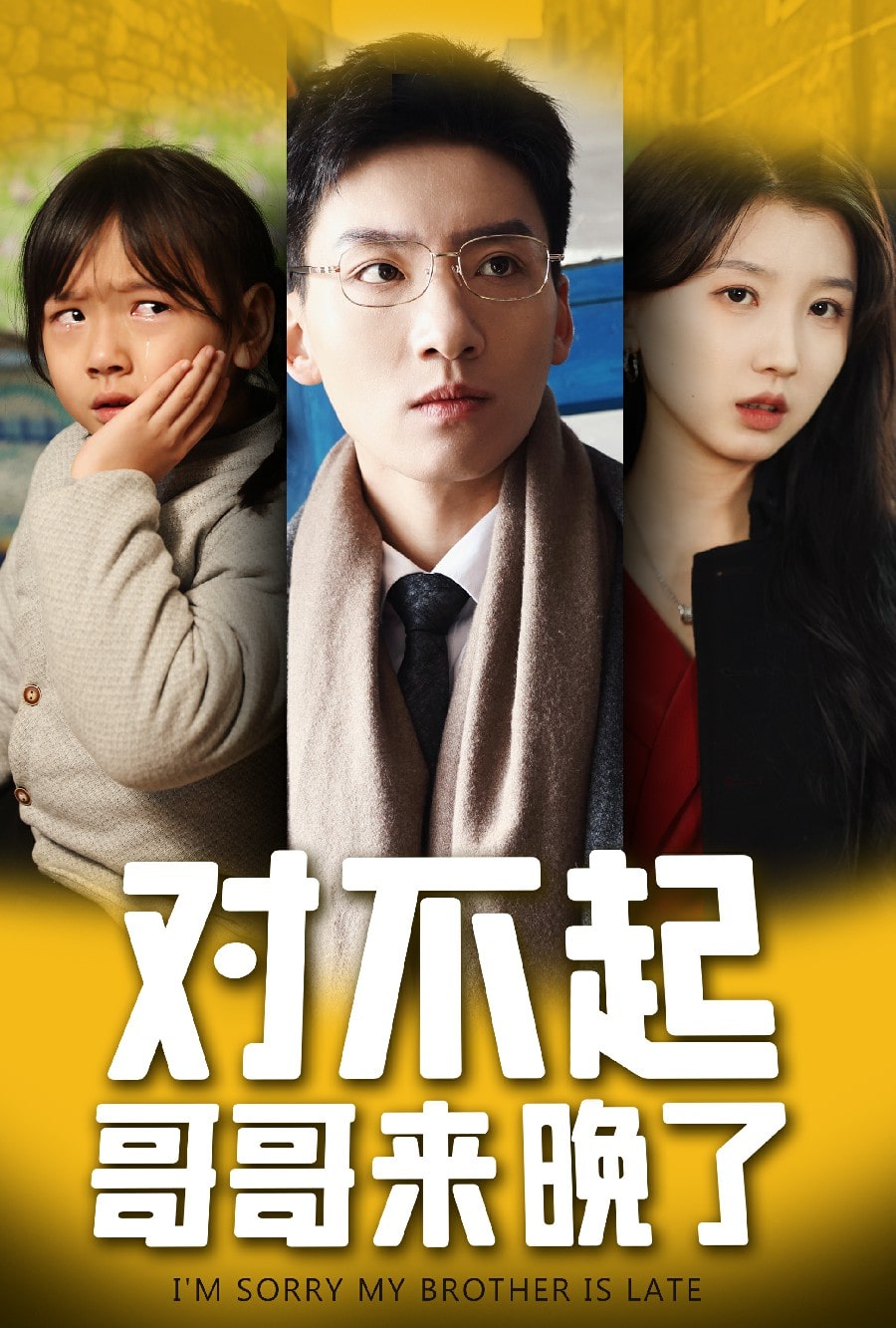 对不起，哥哥来晚了,高清在线播放