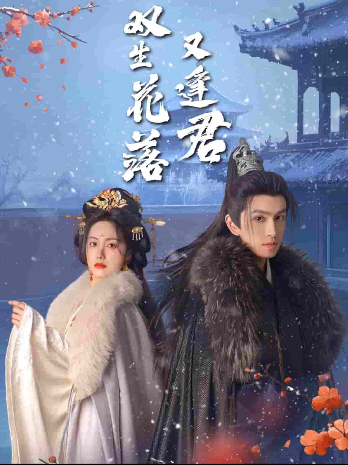双生花落又逢君,高清在线播放