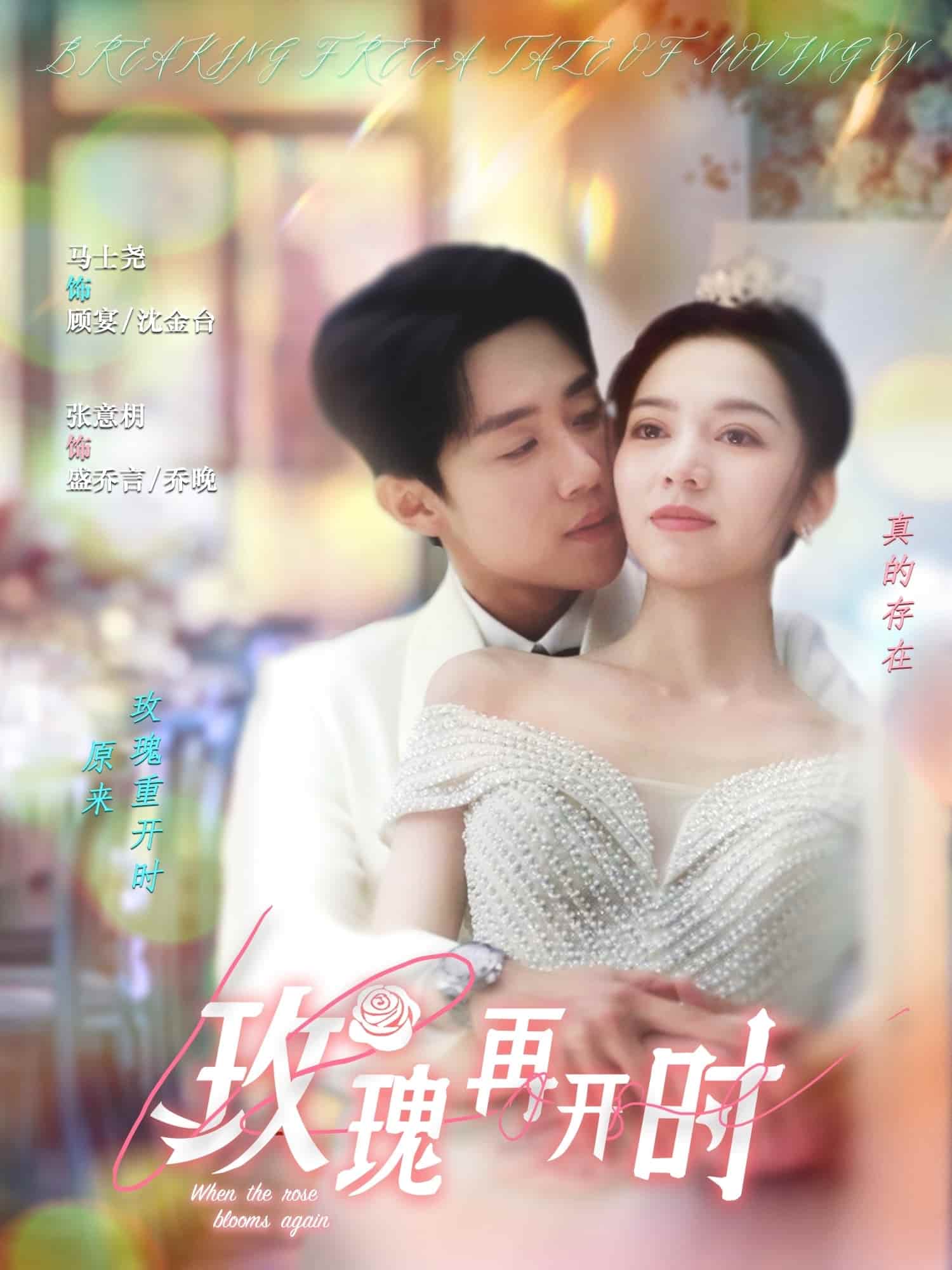 玫瑰再开时的封面海报