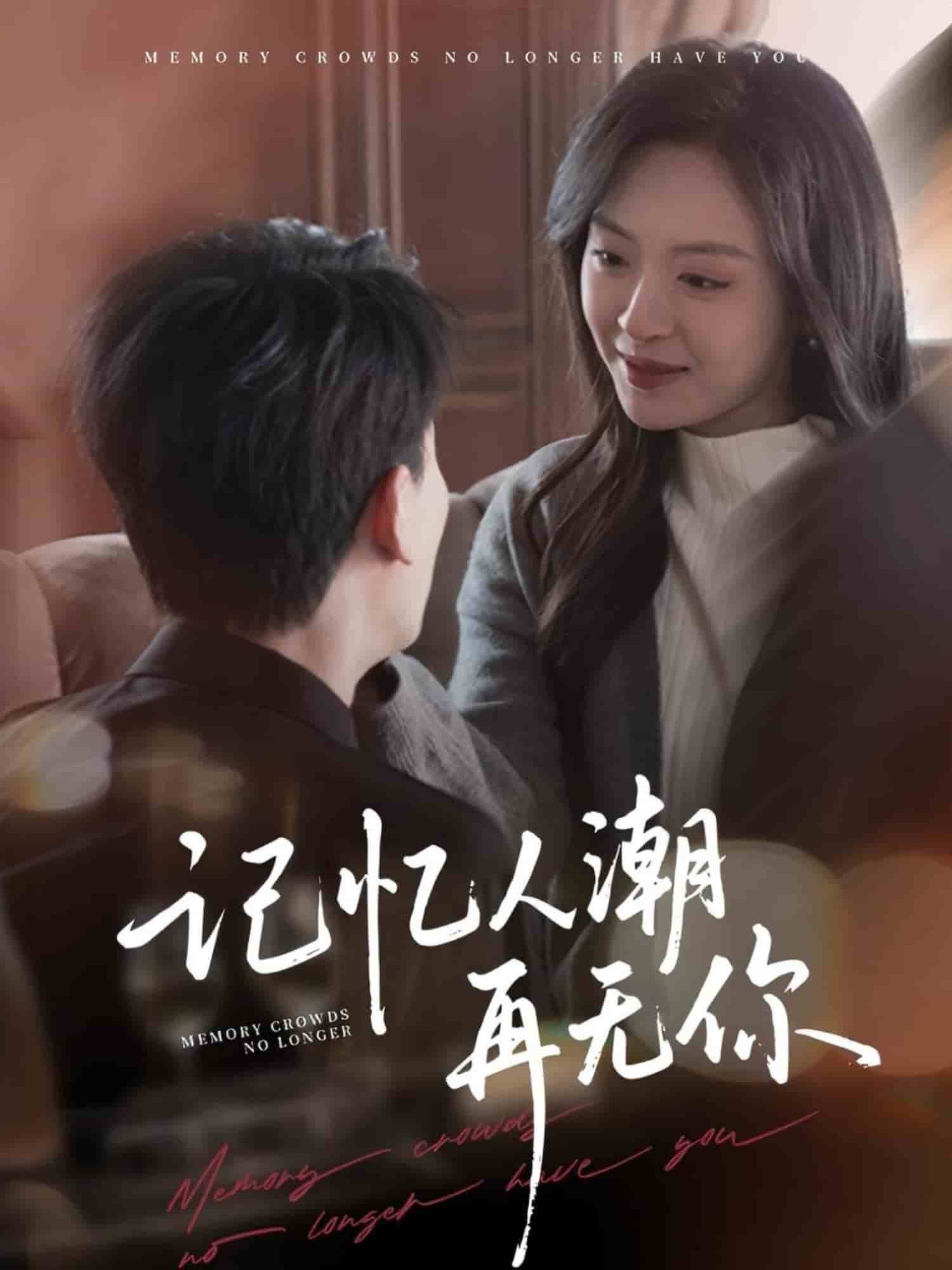 记忆人潮再无你的封面海报
