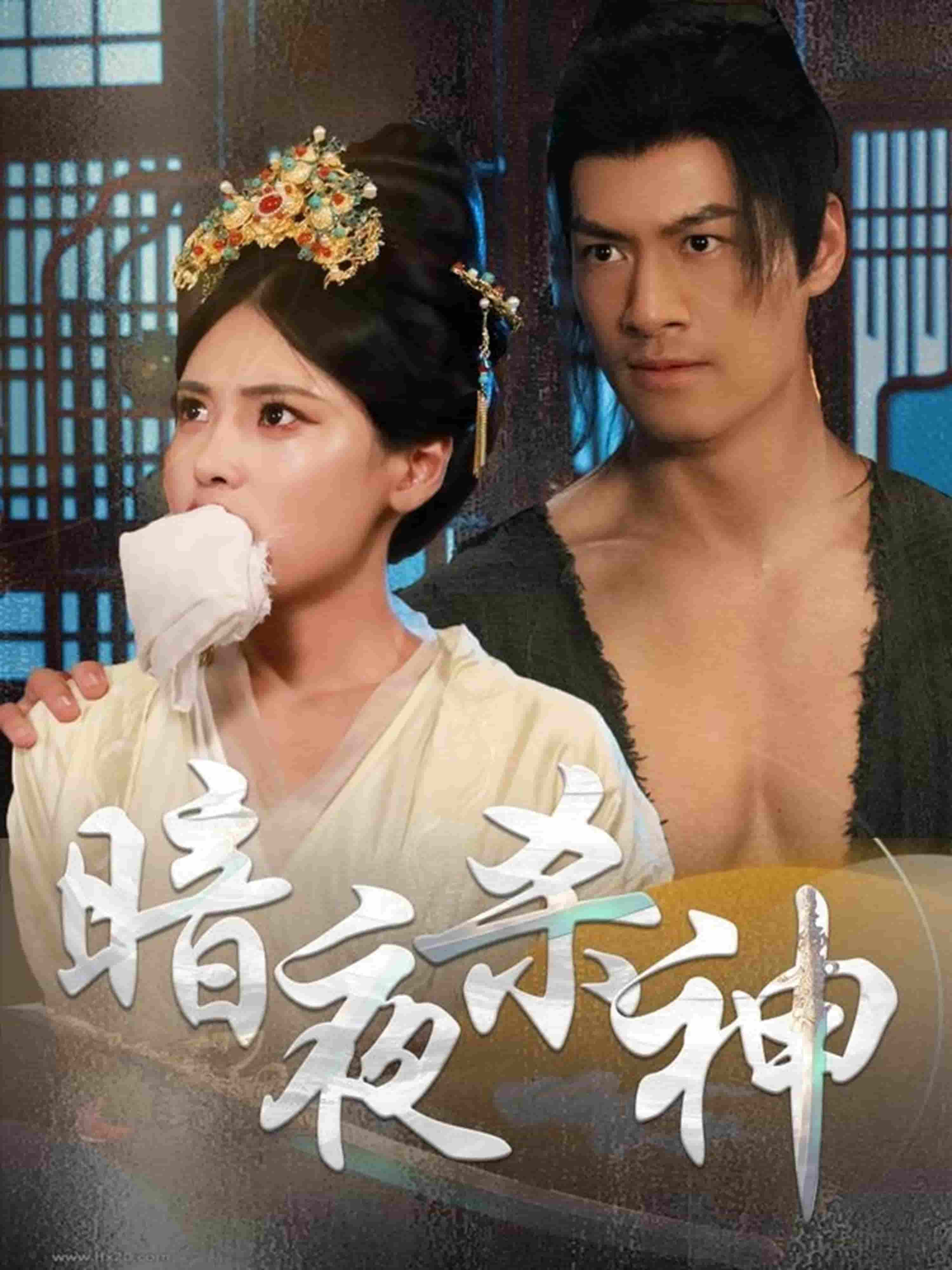 暗夜杀神的封面海报
