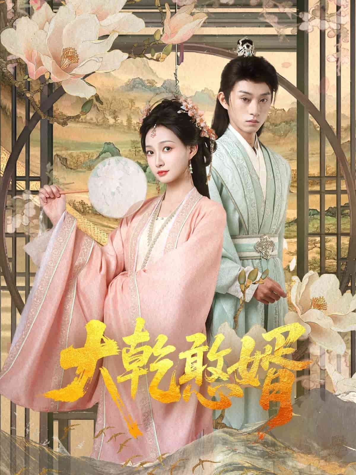 大乾憨婿的封面海报