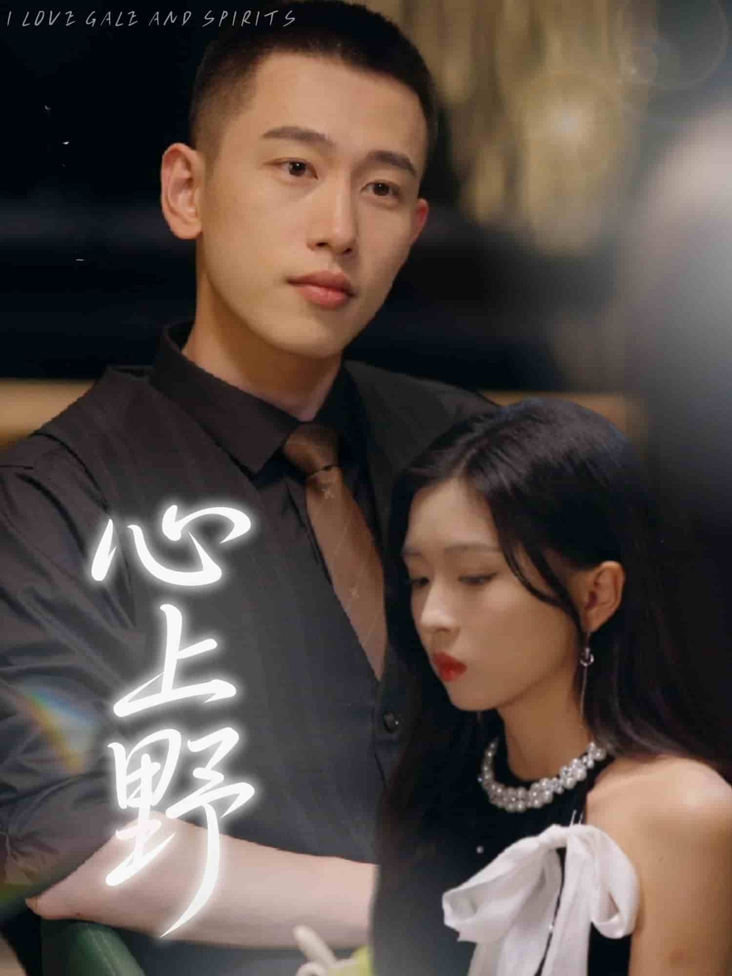 心上野的封面海报