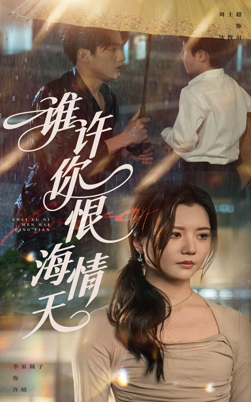 谁许你恨海情天的封面海报