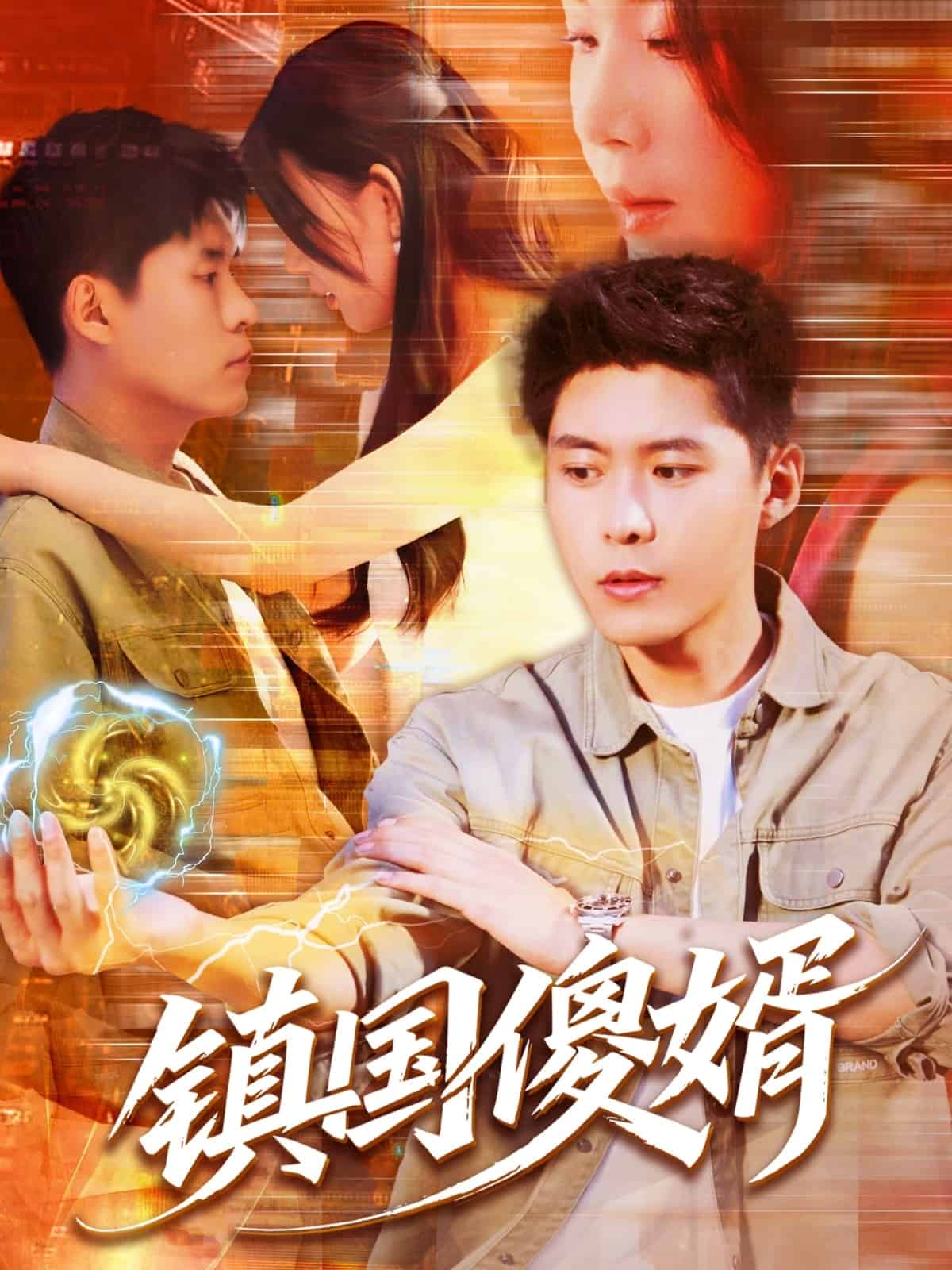 镇国傻婿,高清在线播放