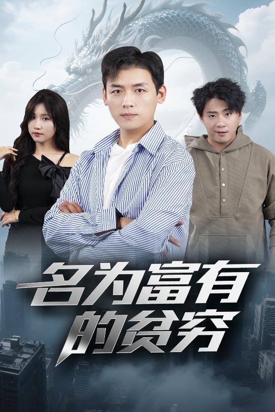 名为富有的贫穷的封面海报