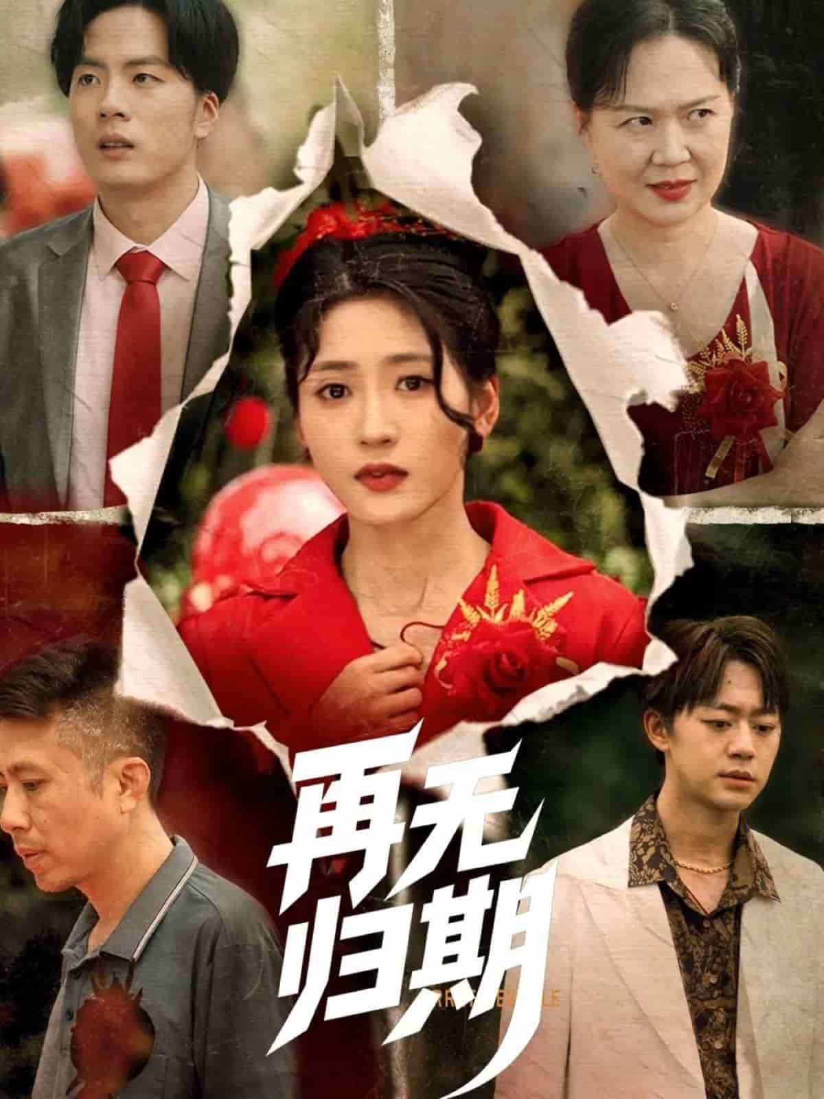 再无归期的封面海报