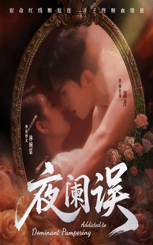 夜阑误的封面海报