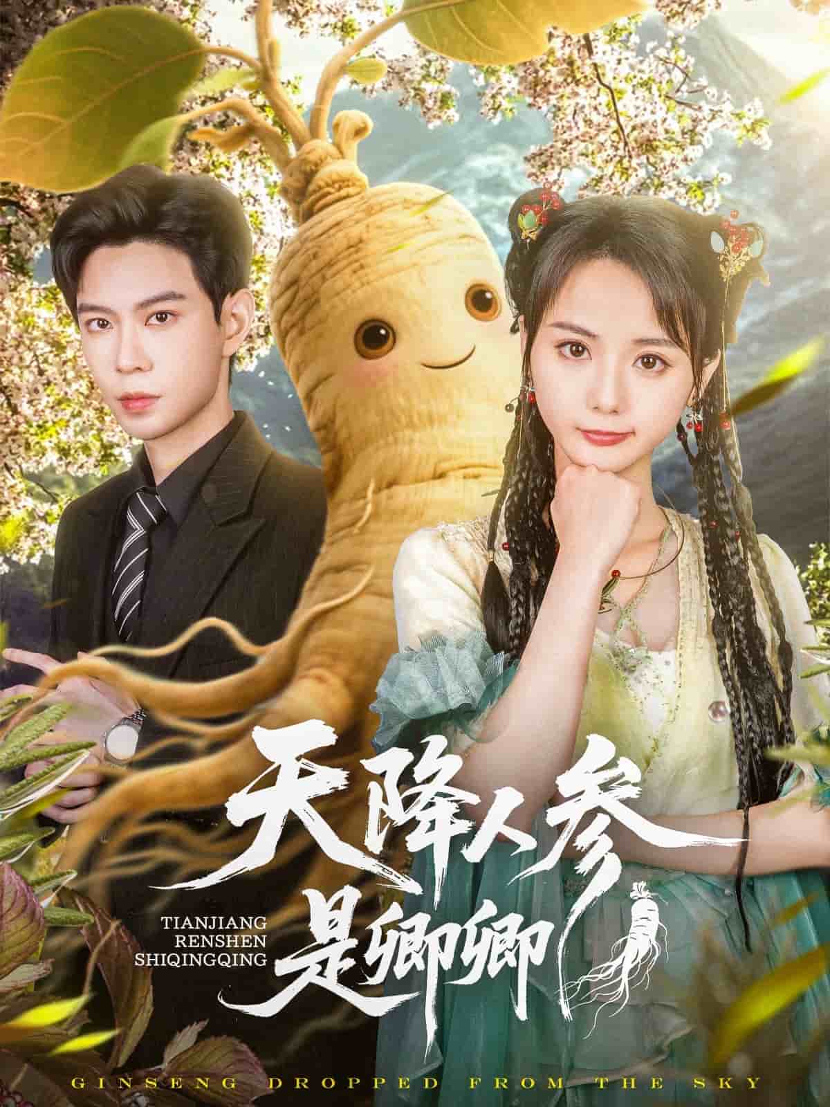短剧大全