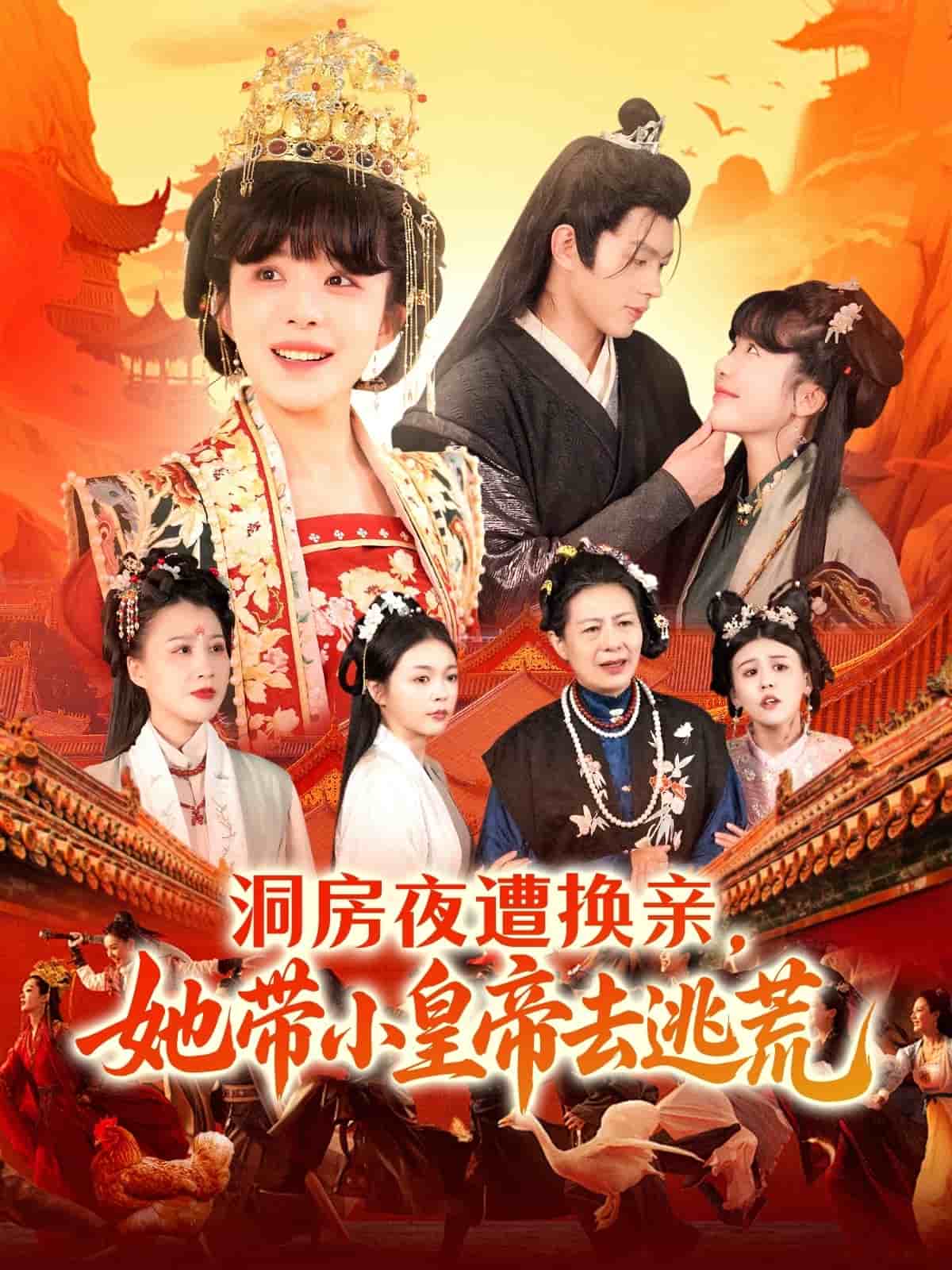 洞房夜遭换亲，她带小皇帝去逃荒,高清在线播放