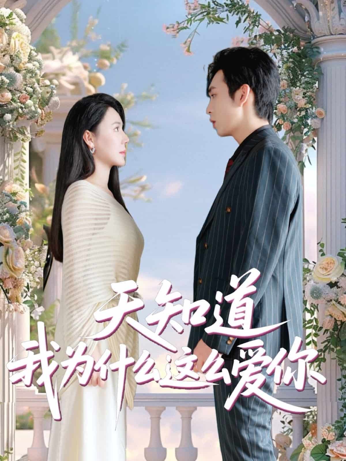 天知道我为什么这么爱你,高清在线播放