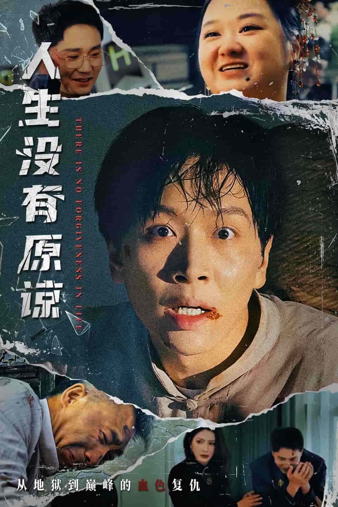 人生没有原谅,高清在线播放