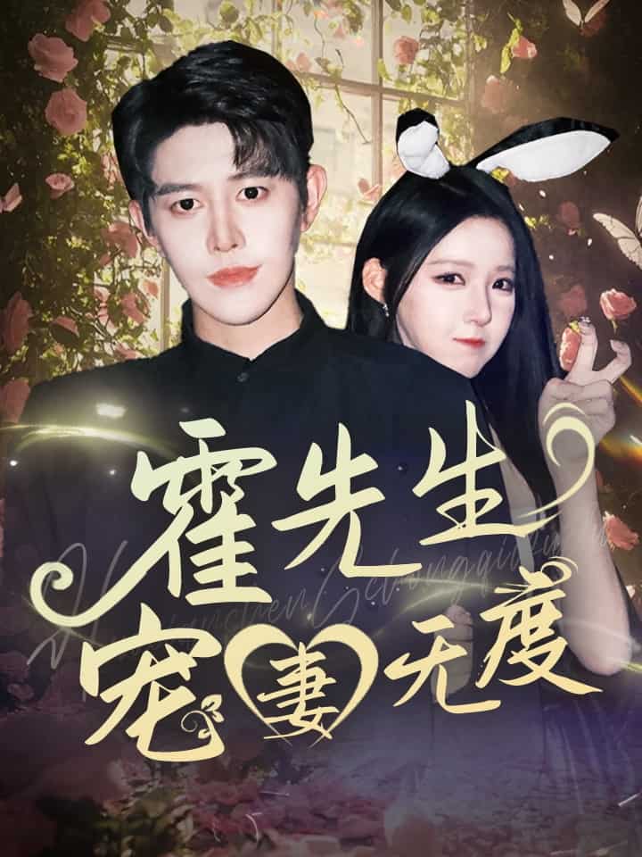 霍先生宠妻无度封面图