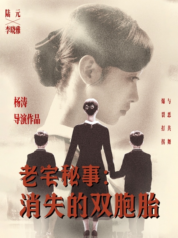 老宅秘事消失的双胞胎封面图