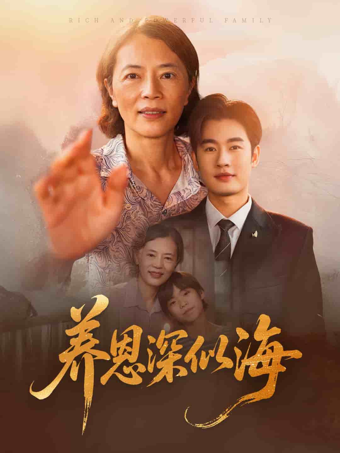 养恩深似海封面图