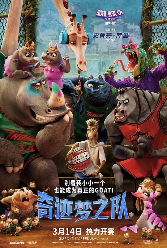 奇迹梦之队封面图