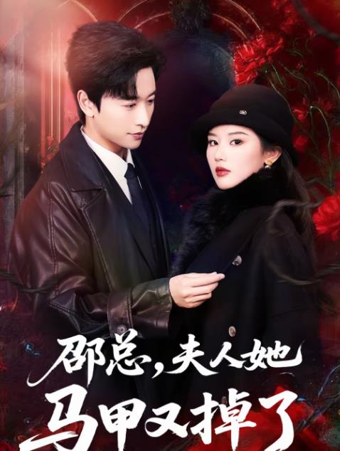 邵总夫人她马甲又掉了封面图