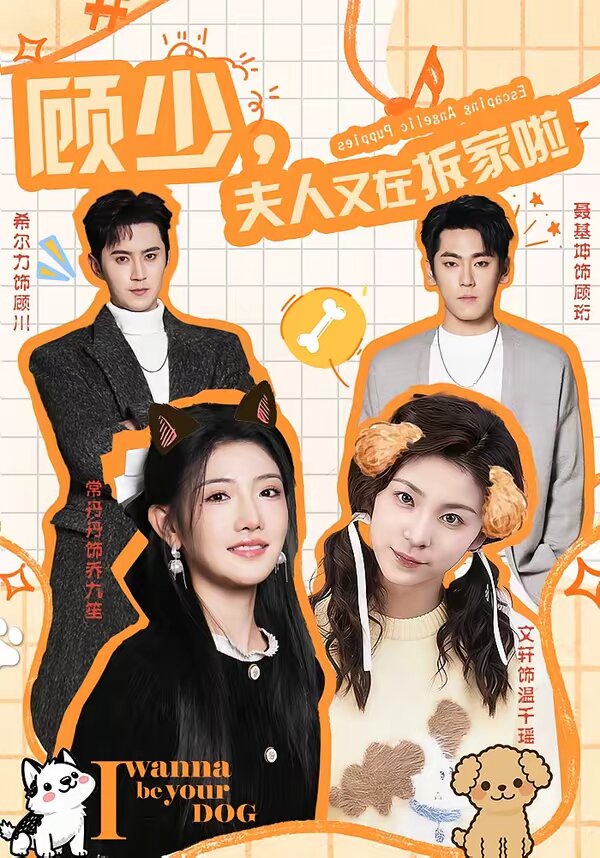 顾少夫人又在拆家啦封面图