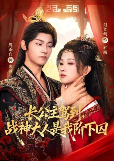 长公主驾到,战神大人是我阶下囚