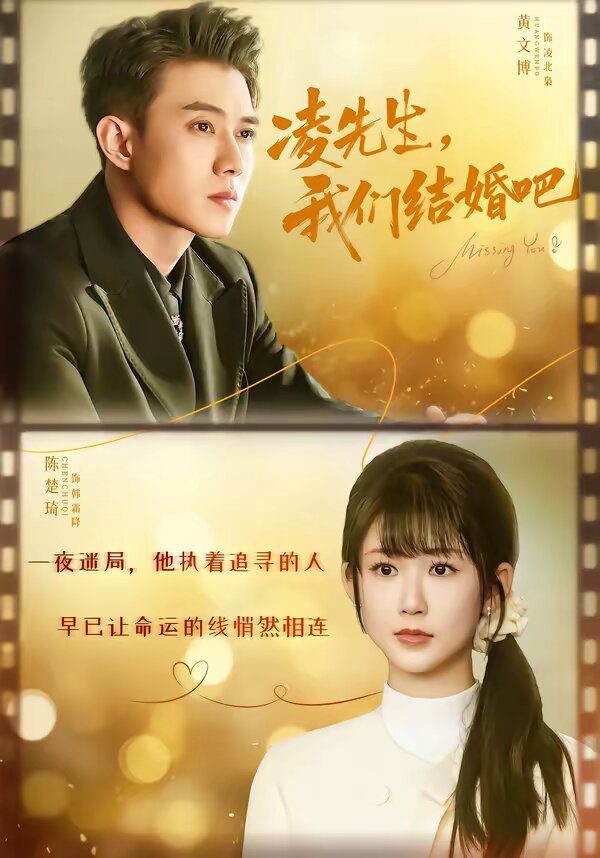 凌先生我们结婚吧封面图