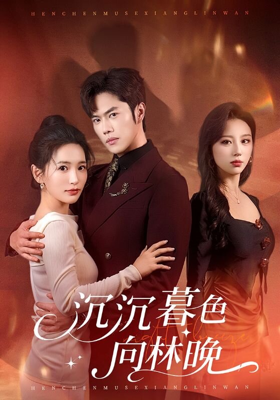 沉沉暮色向林晚封面图