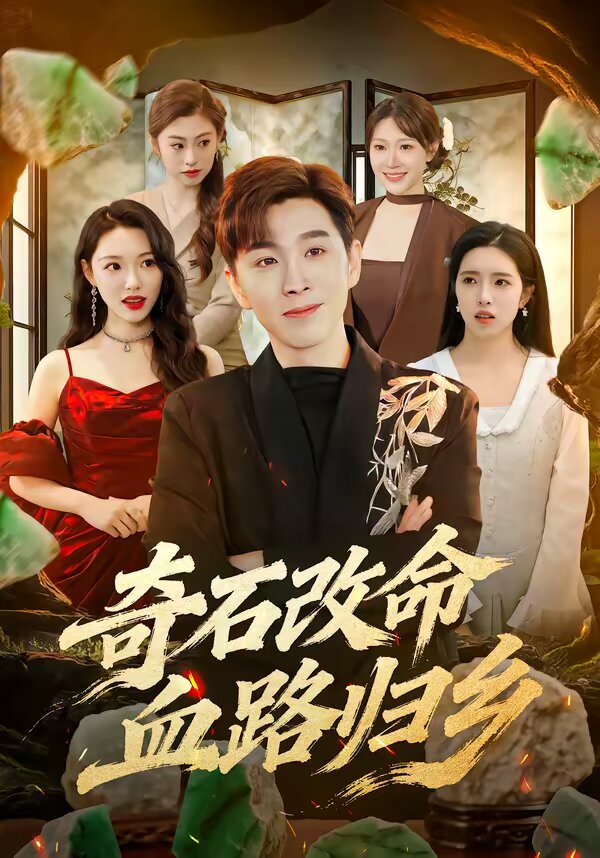 奇石改命血路归封面图