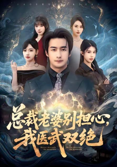 总裁老婆别担心我医武双绝封面图