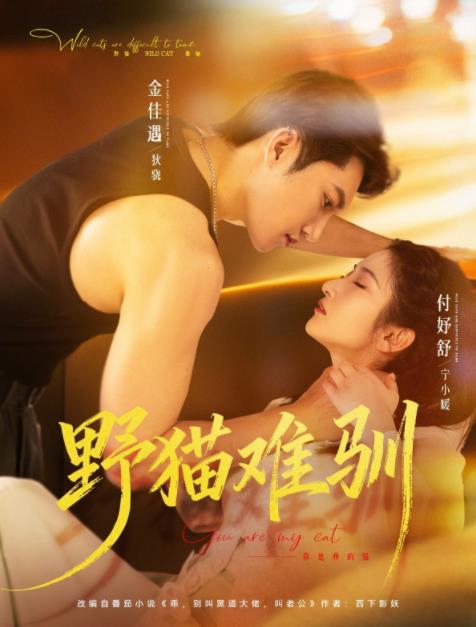 野猫难驯封面图