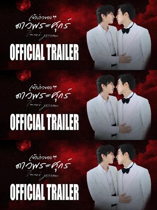 维纳斯的新郎封面图