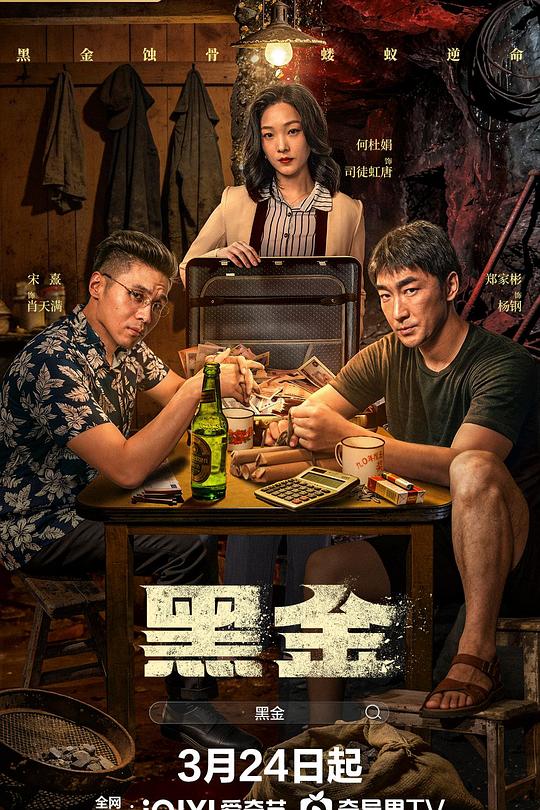 黑金2026封面图