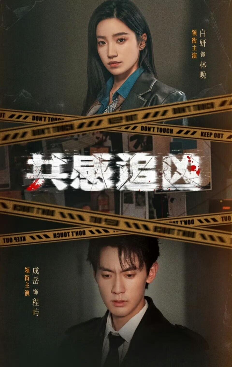 共感追凶封面图