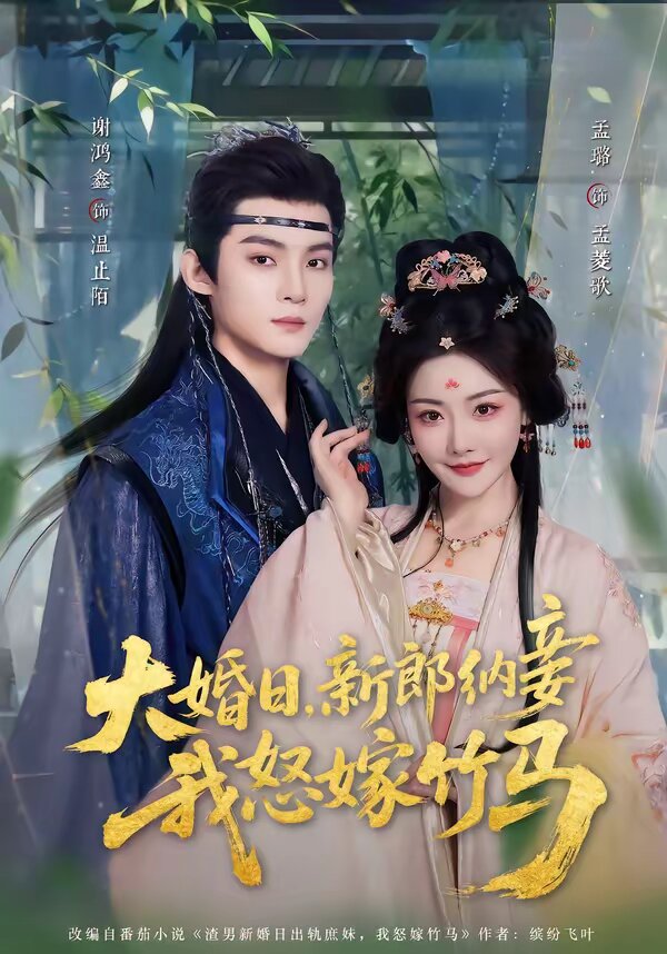 大婚日，新郎纳妾我怒嫁竹马封面图