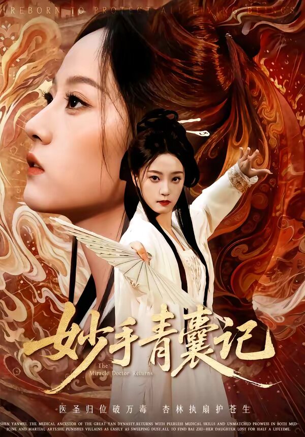 妙手青囊记封面图