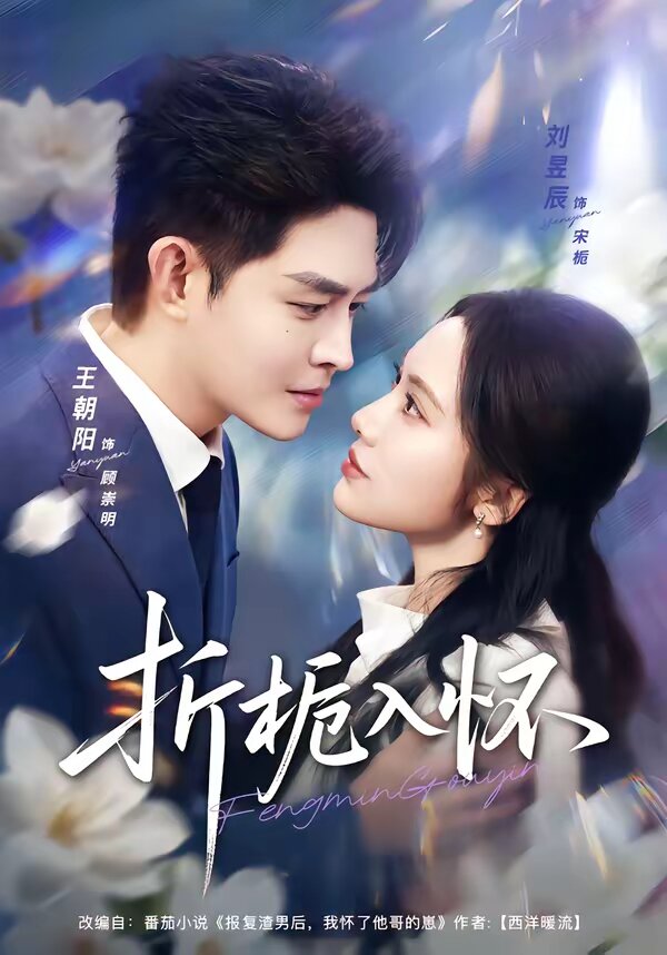 折栀入怀封面图