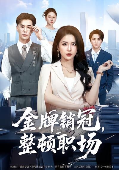 金牌销冠，整顿职场封面图