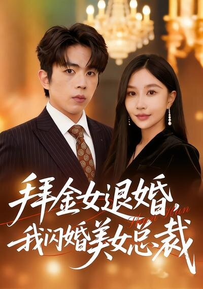 拜金女退婚，我闪婚美女总裁封面图