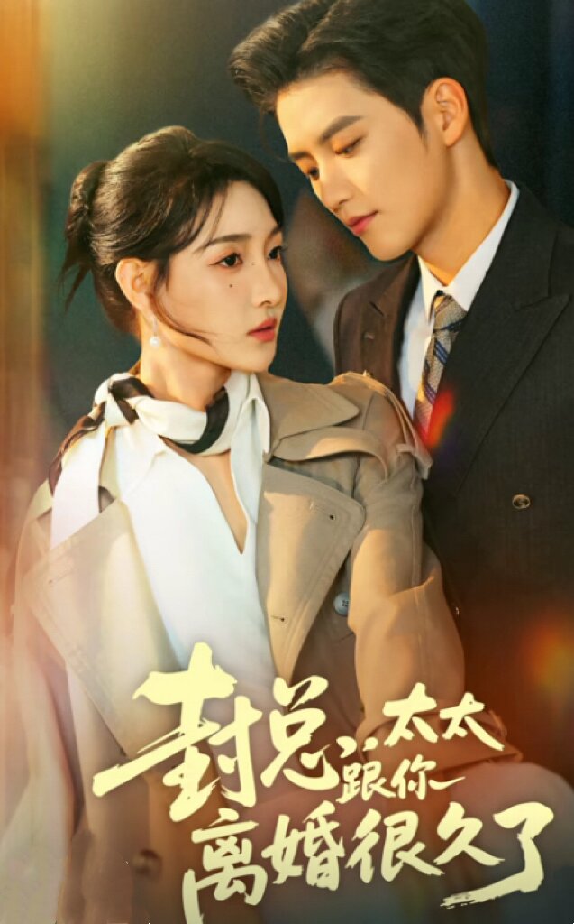 封总，太太跟你离婚很久了封面图