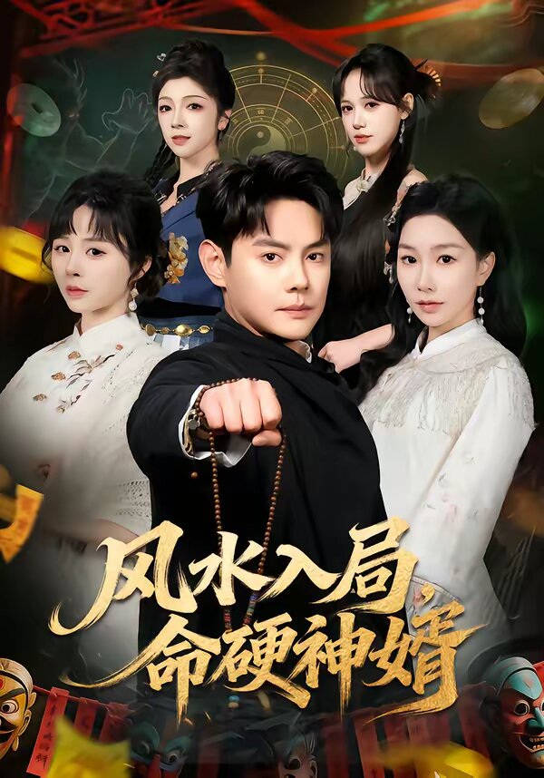 风水入局，命硬神婿封面图