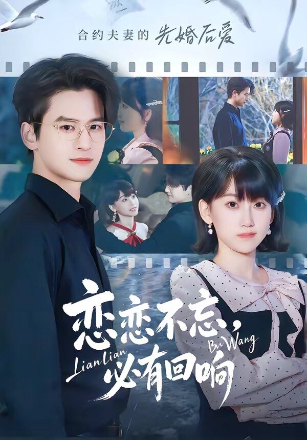 恋恋不忘必有回响封面图